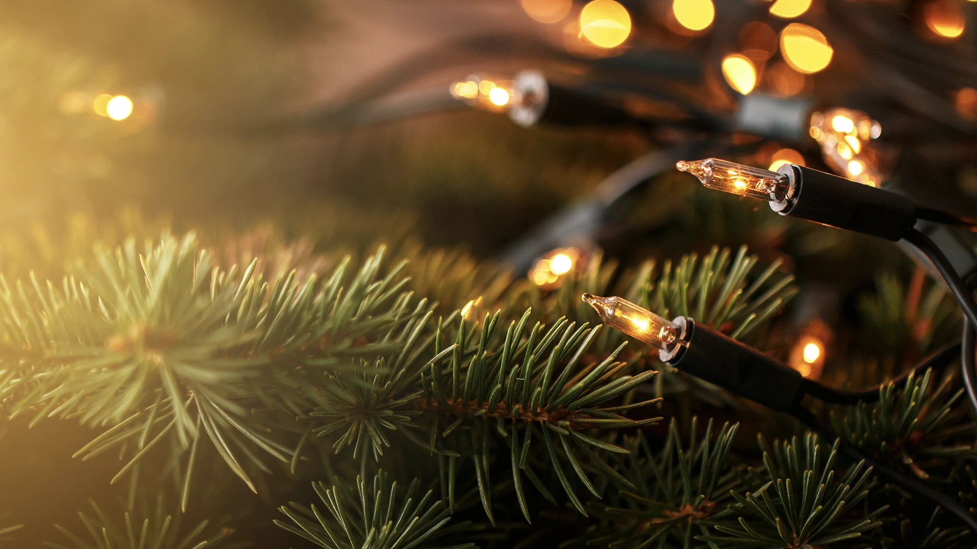 Featured image for “Brandveilig de feestdagen door”